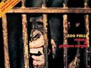 ZOO FOLLE (VINYL GATEFOLD EXTENDED REISSUE) NEW VINYL RECORD