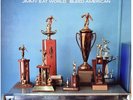 Jimmy Eat World - Bleed American  (LP Vinyl)  sealed