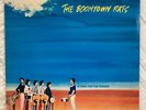 The Boomtown Rats - A Tonic For The Troops LP White Label Promo w/ Press Release