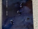 Giant Rooks Rookery Live Tapes Vinyl LP NEU
