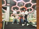 Blossoms-Foolish Loving Spaces 180g 1xLP Gatefold (Black vinyl)