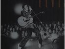 Elvis Presley The Great Performances NEAR MINT Rca Vinyl LP