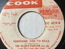 MIGHTY PANTHER / CYRIL DIAZ  Thieving COOK 45 Someone Has to Rule   7