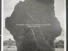 Damon Albarn - SIGNED - Nearer The Fountain More Pure Stream Flows Vinyl LP Blur