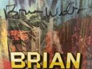 very  rare autographed brian wilson 7 blue vinyl us promo 2008