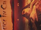 Alice in Chains. Dirt Audioslave. Audioslave