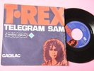 T REX 7
