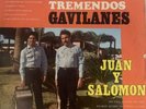 Los Tremendos Gavilanes LP