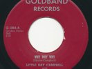 LITTLE RAY CAMPBELL Why Why Why GOLDBAND R&B RnB 45 Hear