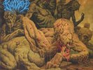 BLOODBATH - Survival Of The Sickest - Vinyl (LP + insert)