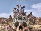 Brant Bjork - Jalamanta: 20th Anniversary  [VINYL]