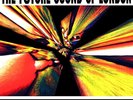 The Future Sound of London Accelerator  (Vinyl)  12