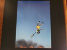 Yeah Yeah Yeahs - Cool It Down w/ RARE SIGNED Photo Set - Splatter Vinyl