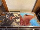 Pink Floyd (Wall/Moon/Wish) - Obscured By Clouds & Meddle Vinyl 2016 EU Rare Lot