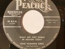 DIXIE HUMMING BIRDS-What are they doing in heaven today/Wading through VG++