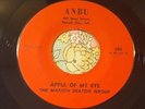 Boss Arkansas Fuzz Garage Psych 45 Marion Deaton Group Apple of My Eye EX HEAR