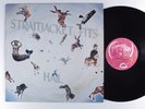 STRAITJACKET FITS Hail FLYING NUN LP VG+ new zealand d