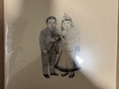 The Decemberists - The Crane Wife (2006) 2 x Vinyl LP Album - Capital Records