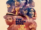 The Beach Boys Sail On Sailor 1972 (Vinyl) 2LP + 7