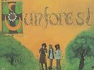SUNFOREST - Sound Of Sunforest (reissue) - Vinyl (limited LP)