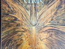 Cynic: Focus**LP / Vinyl / Record**1993 /2013 Roadrunner Records**SIGNED  50/100