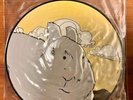 Andrew Jackson Jihad People who can eat people RSD Picture Disc vinyl record