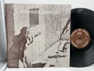 RARE BERMUDA TRIANGLE S/T ORIG US PRIVATE 77 Folk/Psych/Prog ROGER & WENDY LP NM