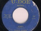 RARE PALACE GUARDS - SORRY - 1966 New Orleans Garage Rock 45 rpm on U-DOE 104