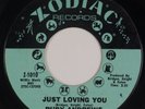 RUBY ANDREWS: Just Loving You US Zodiac Northern Soul 45 Orig Rare HEAR