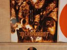 Necrophagist - Epitaph (Orange Vinyl /200) Vinyl (VG+) Rock