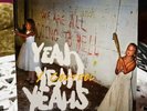 Yeah Yeah Yeahs Y Control 7” single Polydor Records SHIPS FREE