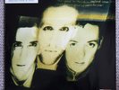 Wild Swans – Bringing Home The Ashes vinyl LP on Sire 925697-1