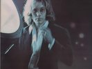 WARREN ZEVON 1976 self-titled UK or. lp MINT vinyl