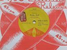RARE 1961 USA ROCKABILLY ANDY DOLL*WILD DESIRE+WAIT* W&G OZ PROMO 7