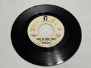 The Wailers Out Of Our Tree / I Got Me Etiquette promo 1965 garage punk 45 VG+