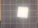 Nits ‎– Knot LP Vinyl
