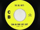 Garage 45 - Del Ray's - Turn On Your Love Light - CB - mp3