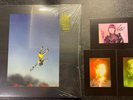 Vinyl 12