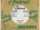 R&B Rocker 45 - Swallows - We Want To Rock - Federal - mp3