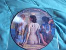 33T PICTURE DISC PINK FLOYD rare beauties  PARFAIT ETAT