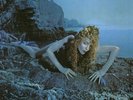 Roxy Music ‎– Siren  (Half Speed Master) 180g Vinyl LP New Sealed