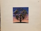 TALK TALK / First Press 1991 / Laughing Stock / Excellent Condition / UK847717-1