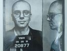 Logic Young Sinatra IV Vinyl