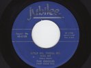 '53 R&B/DooWop ORIOLES Hold Me, Thrill, Kiss Me/Teardrops On My Pillow VG++ HEAR
