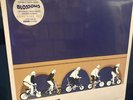 BLOSSOMS - COOL LIKE YOU, 2019 EU RSD Limited Edition vinyl 2LP, NEW - SEALED