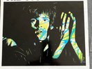 The Stone Roses “Hype ” Album