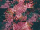 SAY SHE SHE PRISM NEW SEALED LTD COLOURED VINYL LP IN STOCK