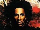 Bob Marley & The Wailers – Natty Dread ,Vinyle, LP
