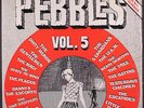 VARIOUS: pebbles vol. 5 BFD 12