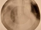 Animals - Don't Let Me Be Misunderstood X-RAY BONE RECORD USSR 32